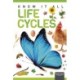 Life Cycles