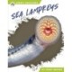 Sea Lampreys