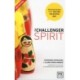 The Challenger Spirit: Organisations That Disturb the Status Quo