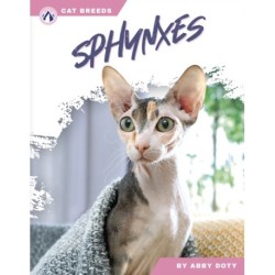 Sphynxes