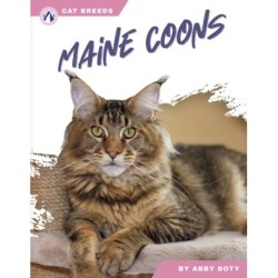 Maine Coons