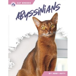 Abyssinians