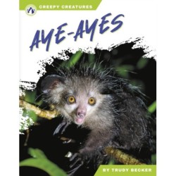 Aye-Ayes
