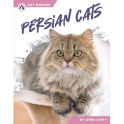 Persian Cats