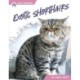 Exotic Shorthairs