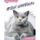 British Shorthairs
