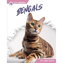 Bengals