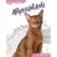 Abyssinians