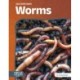 Worms