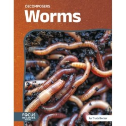 Worms