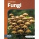 Fungi