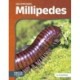 Millipedes