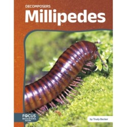 Millipedes