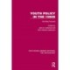 Youth Policy in the 1990s: The Way Forward