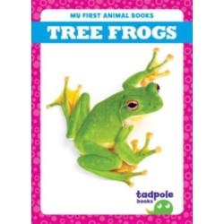 Tree Frogs