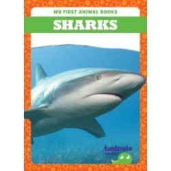 Sharks