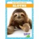 Sloths