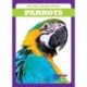 Parrots