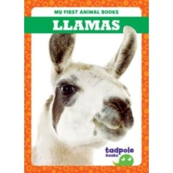 Llamas