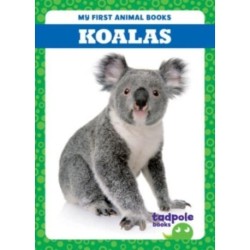 Koalas