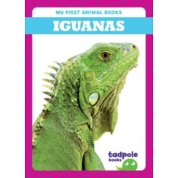 Iguanas