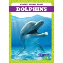 Dolphins