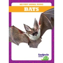 Bats