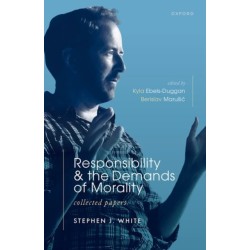 Responsibility and the Demands of Morality: Collected Papers