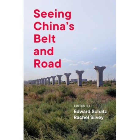 Seeing China's Belt and Road