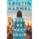 When We Meet Again: A sweeping and heart-breaking WW2 novel from a New York Times bestselling author