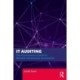 IT Auditing: The Practitioner's Guide to Reliable Information Automation