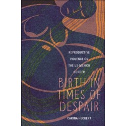 Birth in Times of Despair: Reproductive Violence on the US-Mexico Border