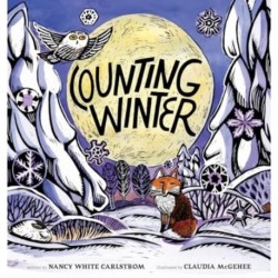 Counting Winter