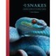 The Lives of Snakes: A Natural History of the World's Snakes