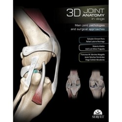 3D Joint Anatomy in Dogs. Main joint pathologies and surgical approaches