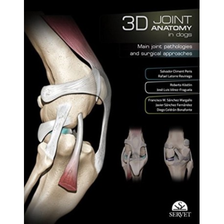 3D Joint Anatomy in Dogs. Main joint pathologies and surgical approaches