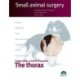 The thorax, Small animal surgery