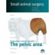 The pelvicaArea. Small animal surgery