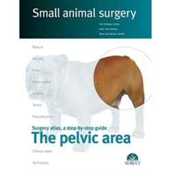 The pelvicaArea. Small animal surgery