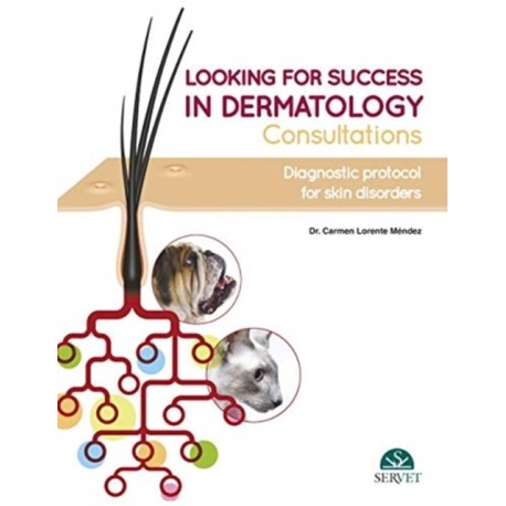 Looking for Success in Dermatology Consultations. Diagnostic Protocol for Skin Disorders