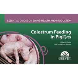 Colostrum feeding in piglets. Essential guides on swine health and production
