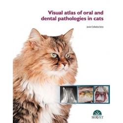 Visual Atlas of Oral and Dental Pathologies in Cats