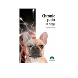 Chronic Pain in Dogs