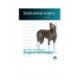 Surgical techniques. Small animal surgery