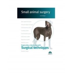 Surgical techniques. Small animal surgery