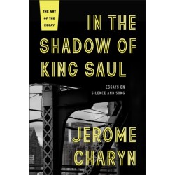In the Shadow of King Saul: Essays on Silence and Song