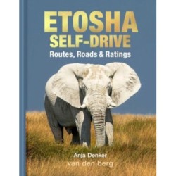 Etosha Self-Drive: Routes, Roads and Ratings