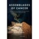 Assemblages of Cancer: Experiences and Contexts of Breast Cancer in the Uk, France and Italy