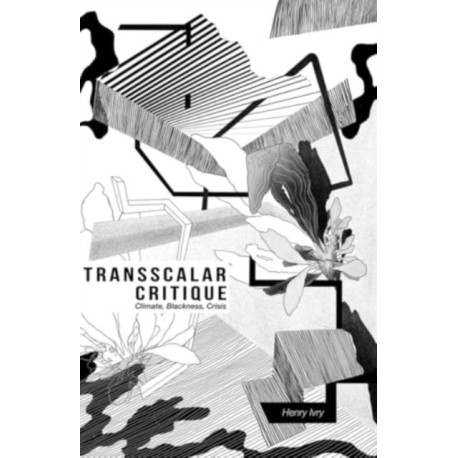 Transscalar Critique: Climate, Blackness, Crisis
