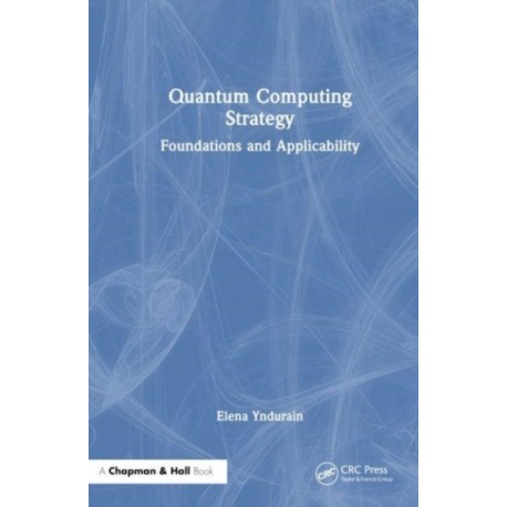 Quantum Computing Strategy: Foundations and Applicability